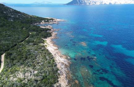 Villa Caterina - Foto 31