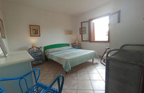 Flamingo's Home - Foto 11