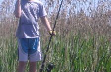 Nature Home Rybical - Foto 48