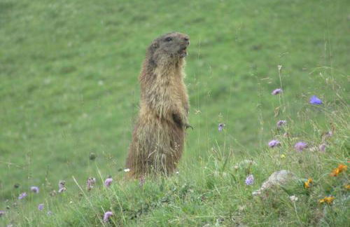 Sella Ronda Apartment - Foto 24