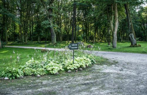 Pałac Baborówko - Foto 40