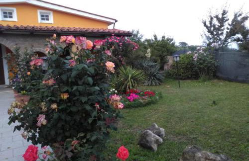 La casetta di samba - Foto 33