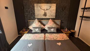 FeWo Harz mit Herz Familienfreundliches Paradies im Harz - Foto 2