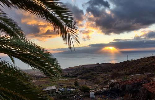 The Lemon Factory - Foto 30