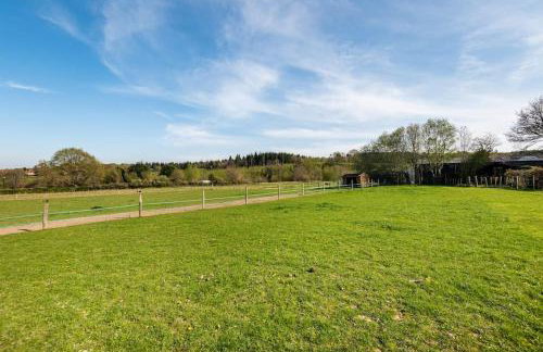 Secret & Secluded Sedlescombe - Foto 18