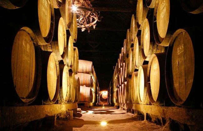 Visite d'Arrábida + Dégustation de vins - Photo 1