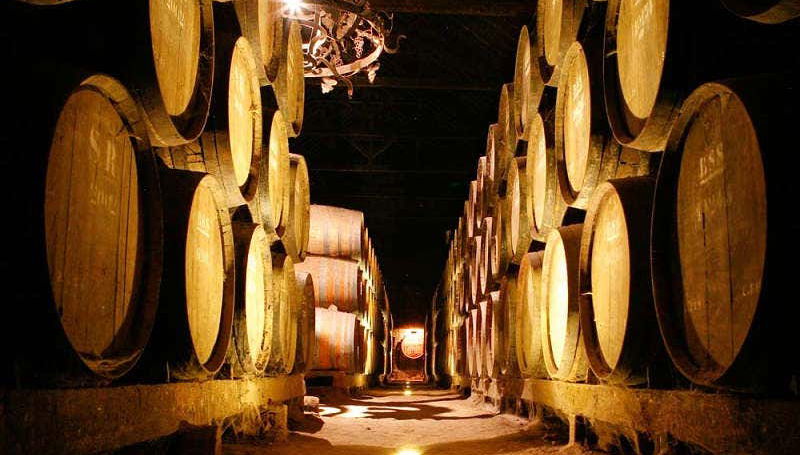 Visitando la cantina