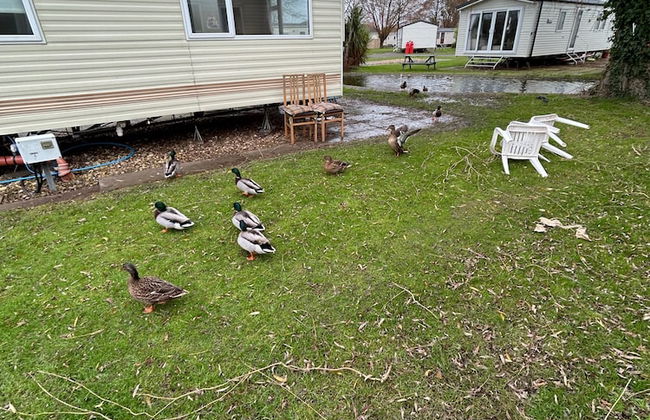 -garden-parking-nearcoast Springs 77 - Foto 10