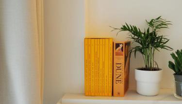 Denfert Rochereau -Cozy and pleasant stay with terrace - Foto 4