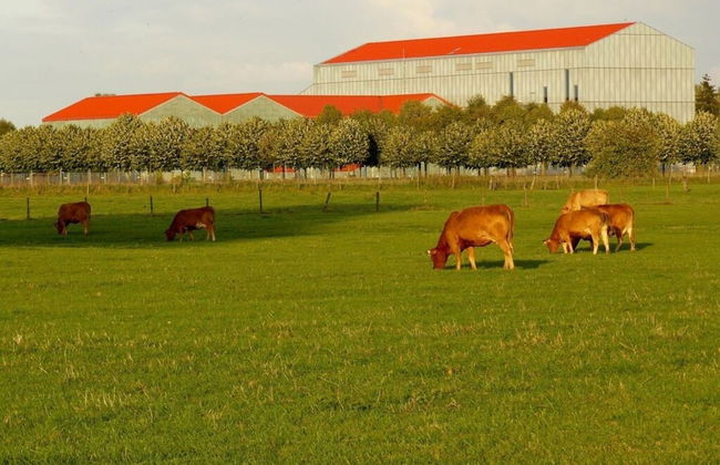 Holiday Apartment Kurpark - Photo 14