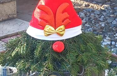 Guesthouse Aelia - Foto 16