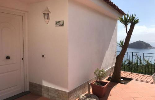 L' Ulivo Villa Nunzia - Foto 3