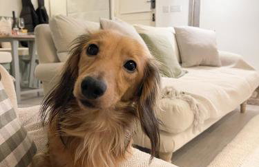 Oak Tree Hideaway - Foto 68