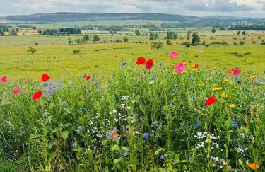 Turnpike House - Foto 65