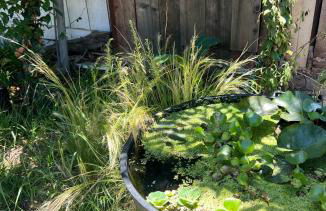 Game Room! Mid Century Danish Home in Downtown Solvang - Foto 17