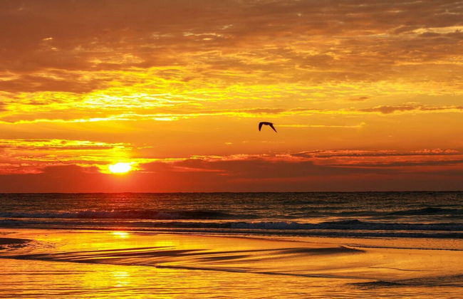 The Cozy Cottage - Photo 48