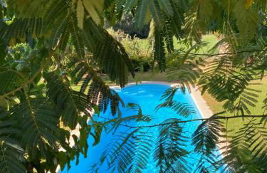 Higueras y Olivos - Foto 17