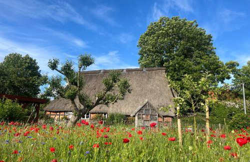Apartment Grüne Welle - Foto 17