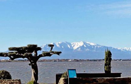 Au bord de l'eau mer, lac et Canigou à Barcarès, piscine et climatisation, magnifique vue ! - Foto 56