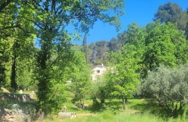 Le Mas Les Salamandres - Foto 40