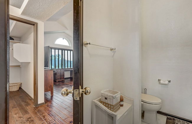 Shirley's Temple - Foto 31