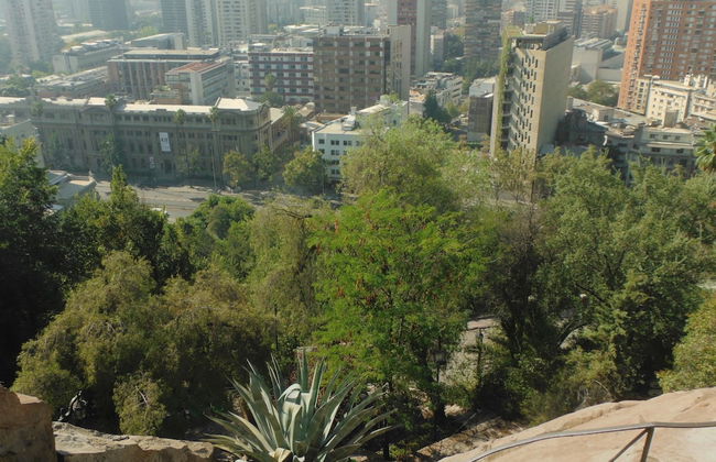 Park Plaza Apart Hotel - Photo 31