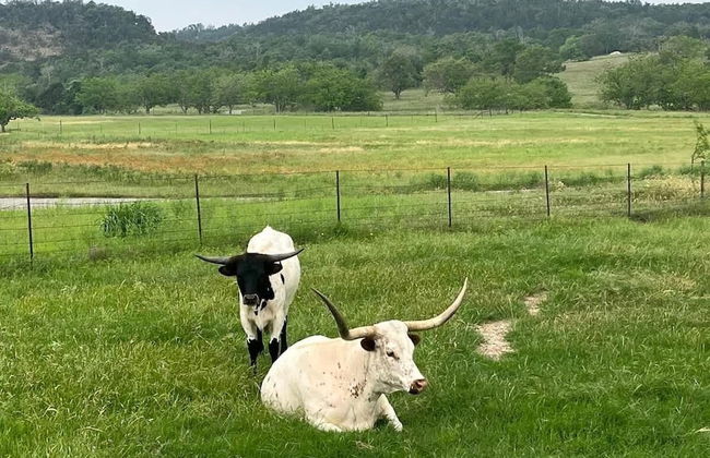 Pecan Retreat-half Mile to Main - Foto 59