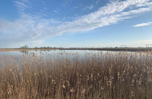 Oak Cottage at Gravel Farm - Photo 28