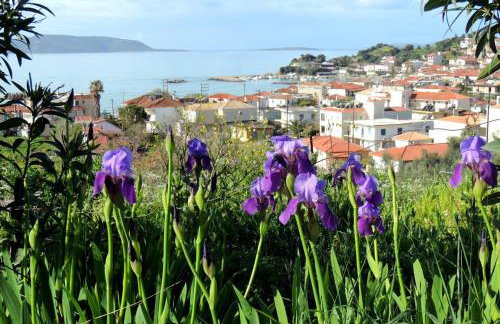 Schiza Houses - Foto 51