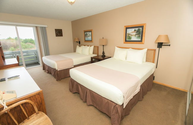 The Grey Gull - Foto 9