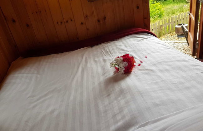 Foxglove Holiday Private Eco Accommodation - Foto 7