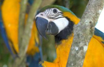 Casa espaçosa famíliar - Foto 6