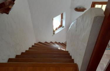 le héron cendré - Foto 9