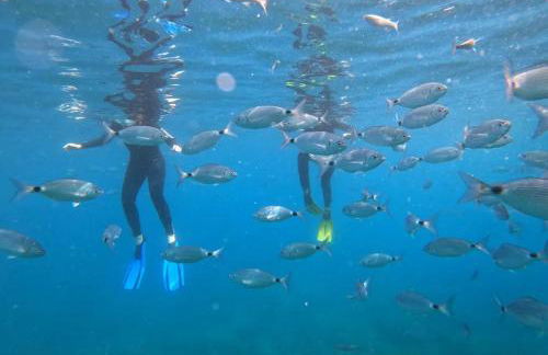 Sea View 2 Bedroom Vacation Apartment - Foto 30