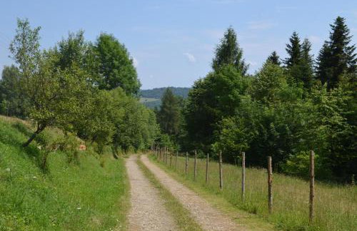 Domek Zacisze Gór Słonnych - Foto 24