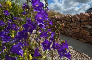 Cabin View - Foto 12