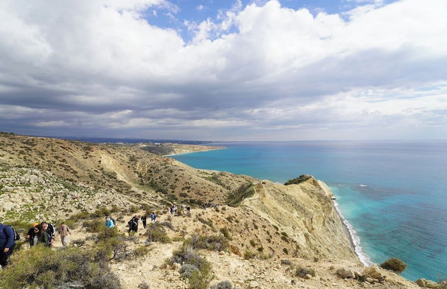 Kapsalia Holiday Villas - Foto 76