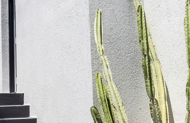 Scorpios Beach Santorini - Foto 64