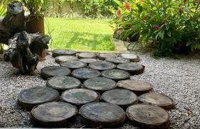 Bangalô de Charme na Praia do Patacho - Rota Ecológica dos Milagres - Foto 31