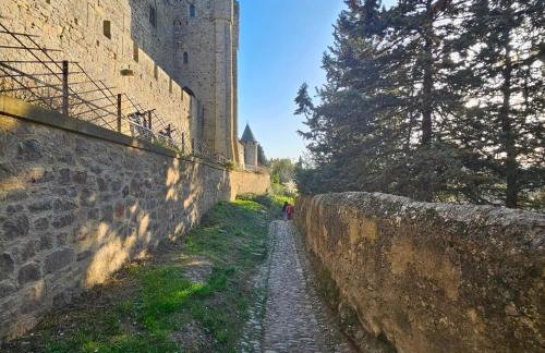 CITE MEDIEVALE- LE REMP'ART - 3 Chambres Tout Confort-au pied de la Cité- Accès direct piétons - parking gratuit - Foto 23