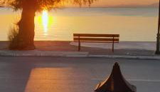 Γοργονα - Foto 5