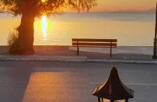 Γοργονα - Foto 5