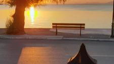 Γοργονα - Foto 1