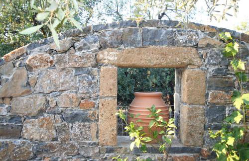 Villa Castello - Foto 17