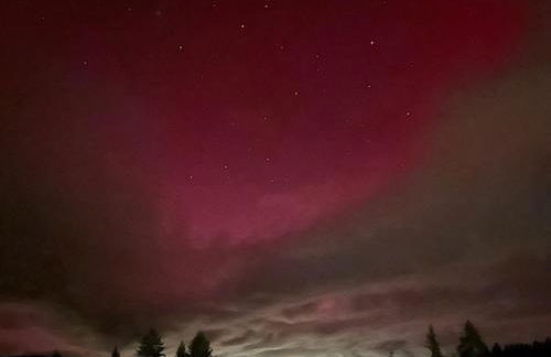 Ferienwohnung Schwarzwald - Foto 22