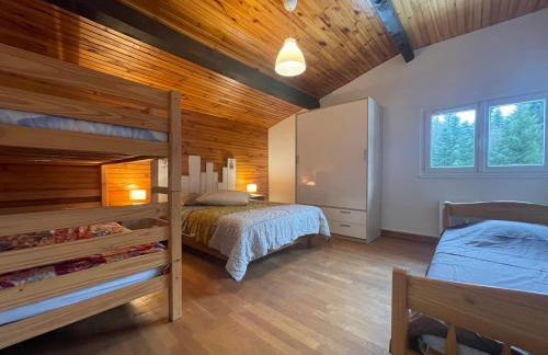 CHALET DES HAUTS SAPINS LA BRESSE - Photo 9