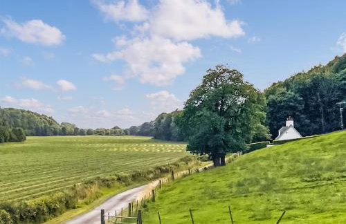 Balnowlart Lodge - Foto 17