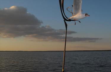 Zwei Ferienwohnungen Ankerpatz 70 qm mit Loggia & Puppenstube 50 qm mit Gartenterrasse in Hagenburg nähe Steinhuder Meer - Foto 40