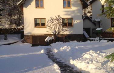 Ferienhaus Ginkgo Biloba - Foto 42