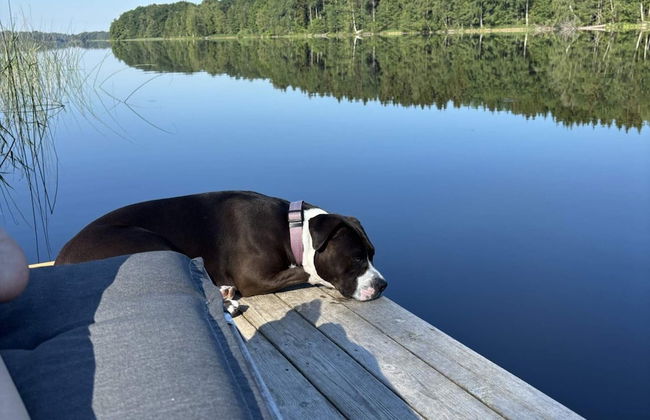 4 Star Holiday Home in Ljusfallshammar - Foto 28